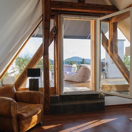 City Penthouse Mit Dachterrasse Freiburg im Breisgau Ngoại thất bức ảnh