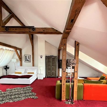 City Penthouse Mit Dachterrasse Freiburg im Breisgau Ngoại thất bức ảnh