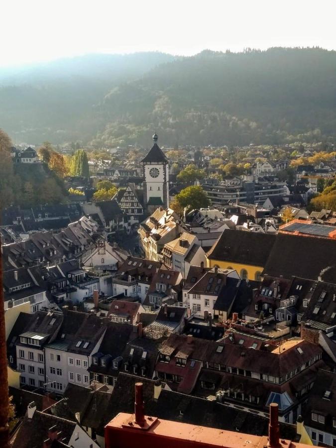 City Penthouse Mit Dachterrasse Freiburg im Breisgau Ngoại thất bức ảnh