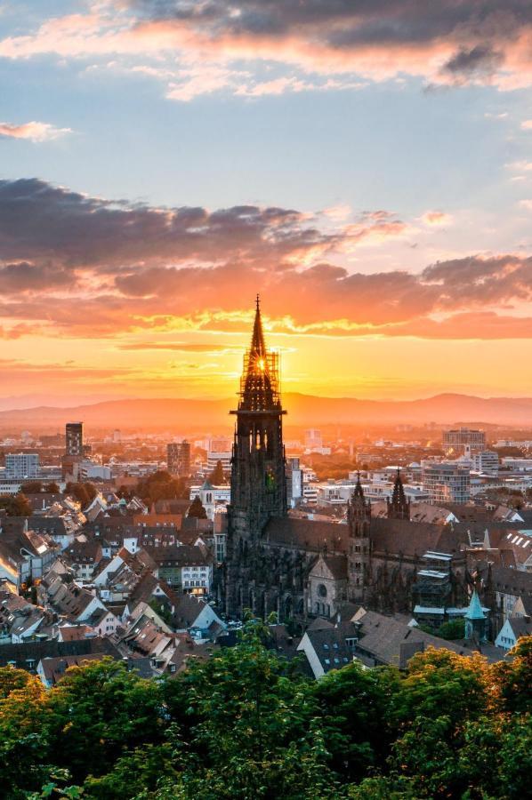 City Penthouse Mit Dachterrasse Freiburg im Breisgau Ngoại thất bức ảnh