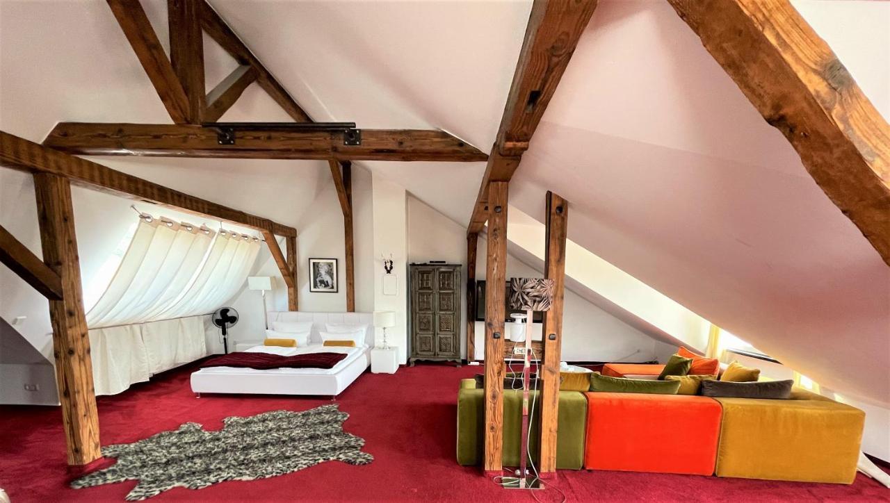 City Penthouse Mit Dachterrasse Freiburg im Breisgau Ngoại thất bức ảnh