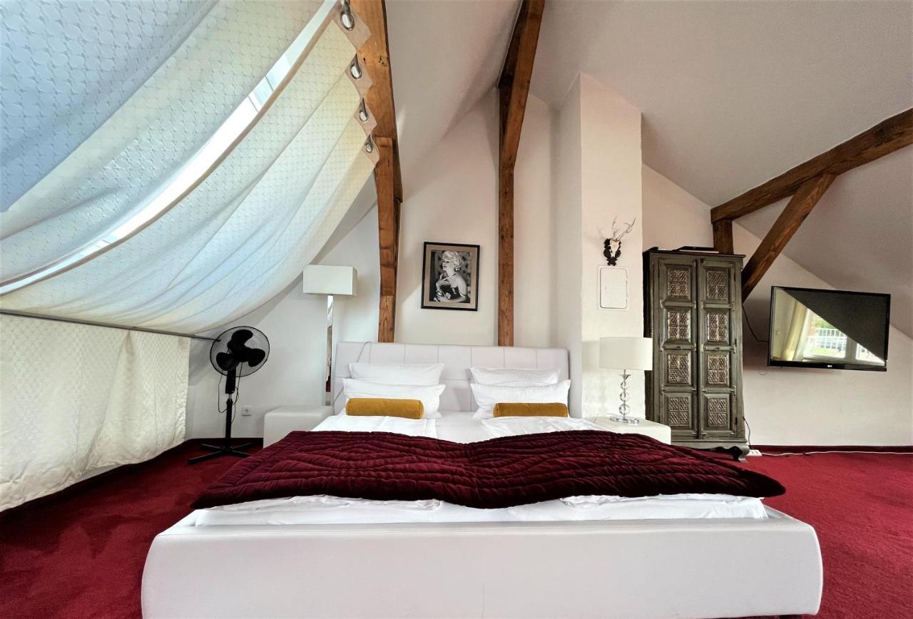 City Penthouse Mit Dachterrasse Freiburg im Breisgau Ngoại thất bức ảnh
